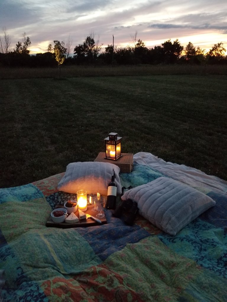Blanket, pillows, cheese board and wine with candles at dusk