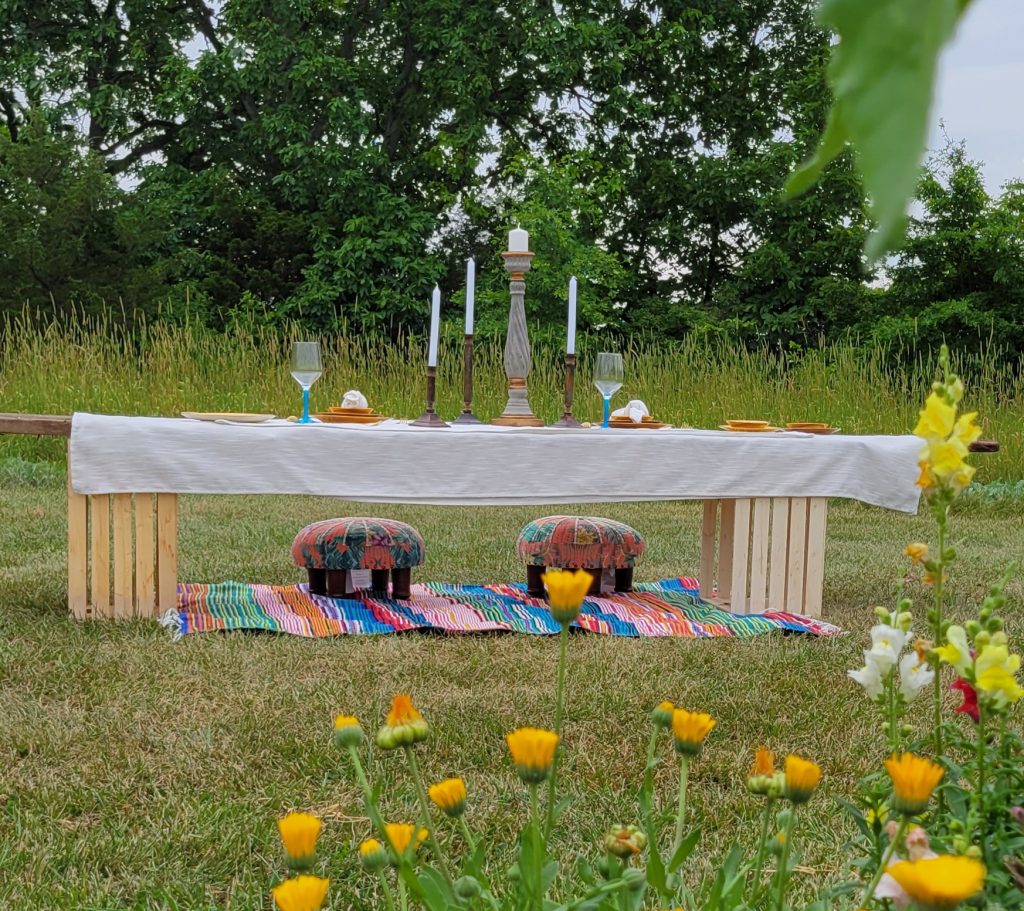 Luxury picnic table set up in meadow
