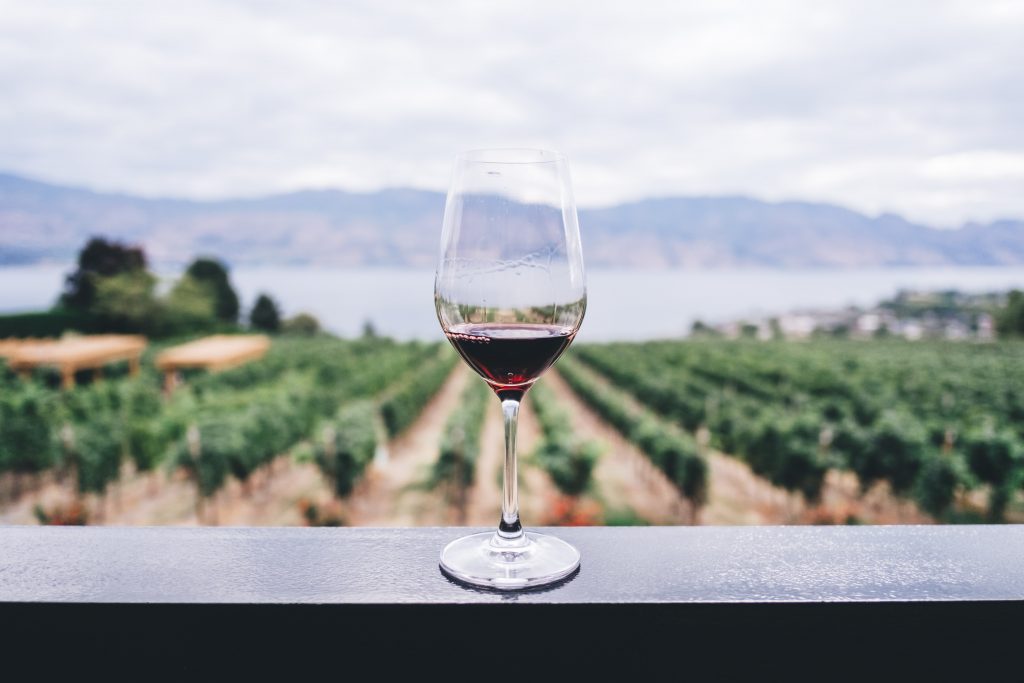 Wine glass with Vineyard background