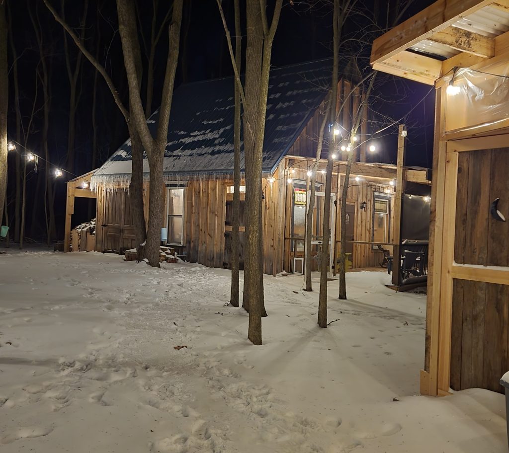 Chalet in the woods in winter