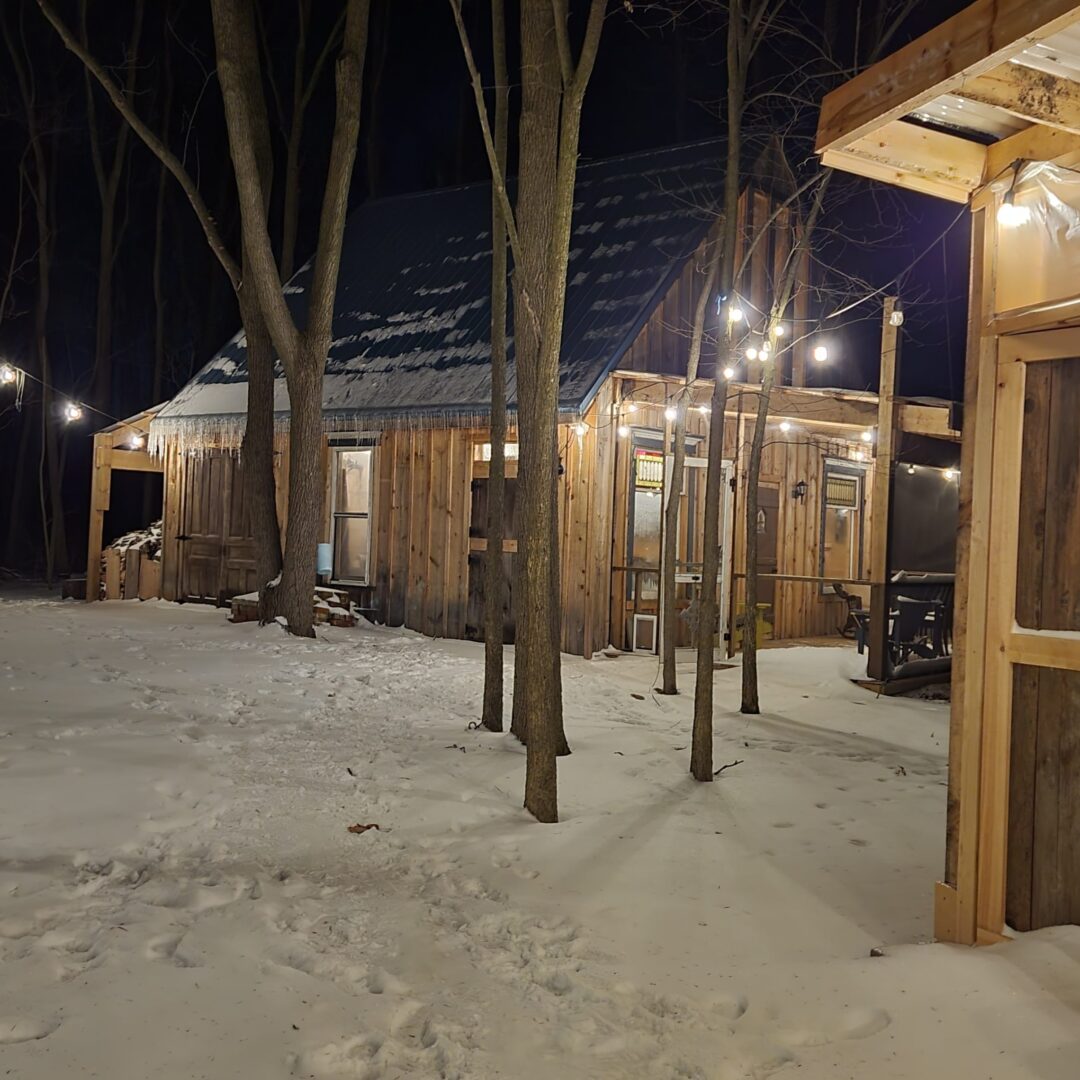 Chalet in the woods in winter
