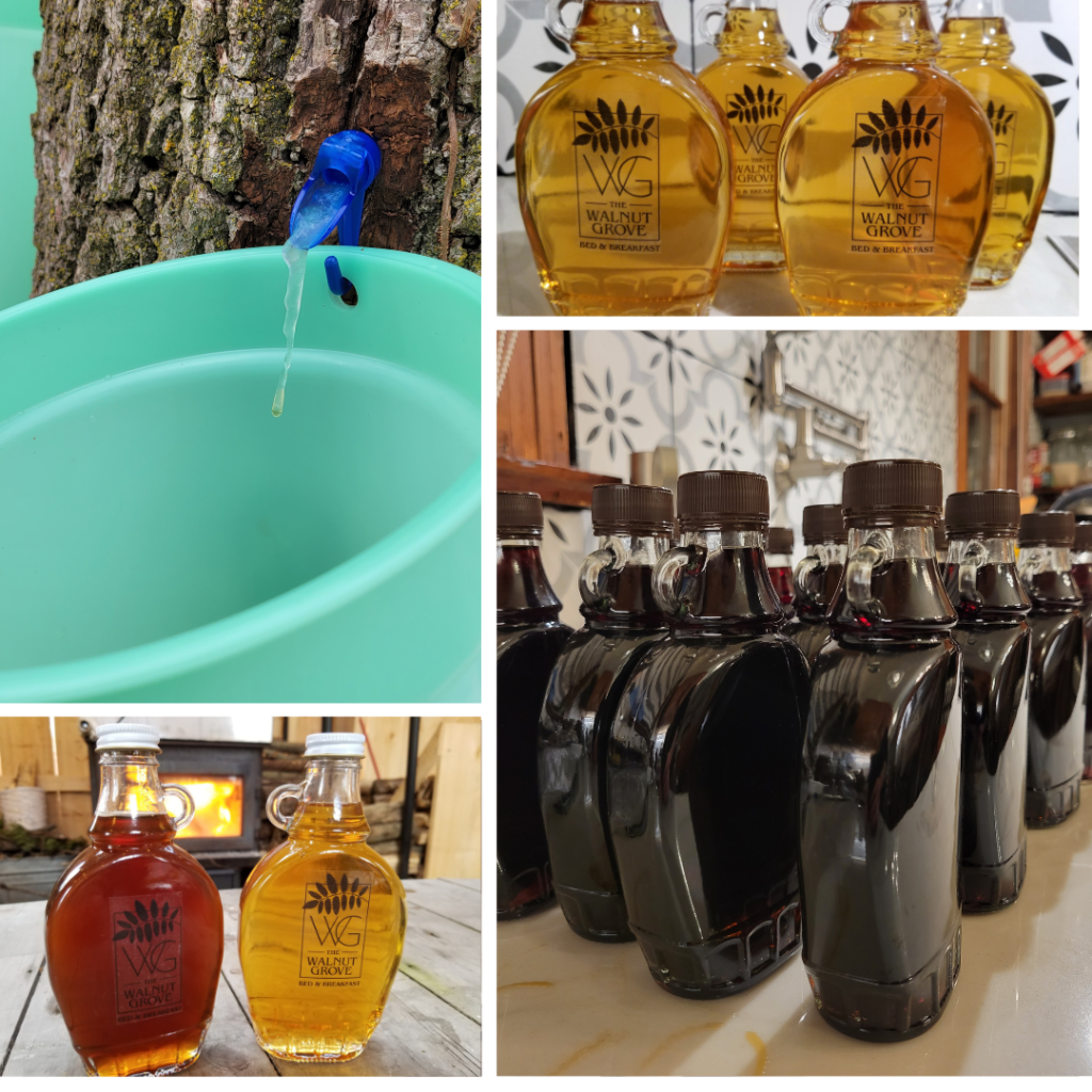 Walnut and maple syrup bottles